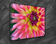 Natures Most Beautiful Thing Flowers as Floral Canvas Prints at £9.00